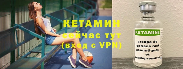 прущие грибы Вязьма