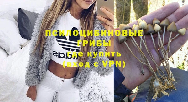 прущие грибы Вязьма