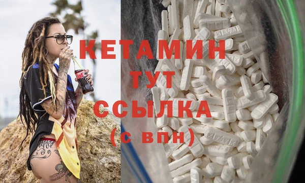 прущие грибы Вязьма