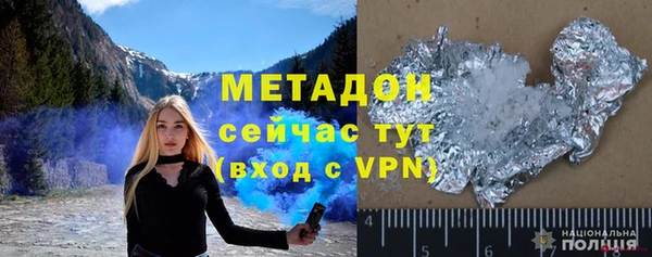 прущие грибы Вязьма