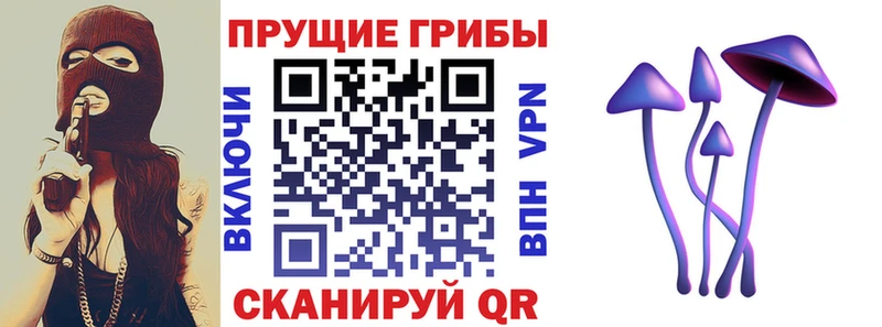Псилоцибиновые грибы GOLDEN TEACHER Новохопёрск